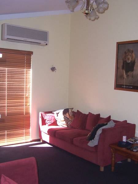 NOTHING CAN COMPARE Picture 2