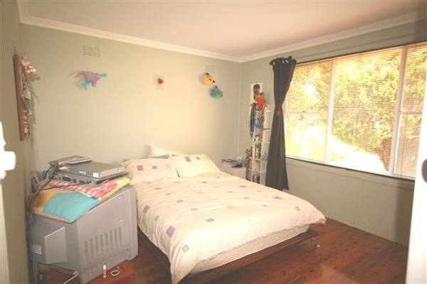 RED BRICK RIPPER Picture 2