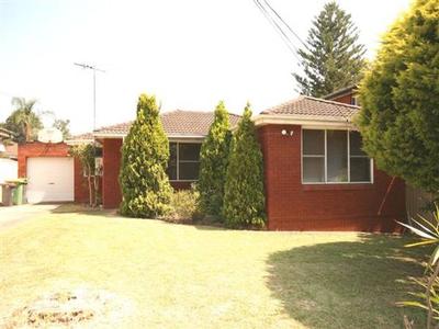 RED BRICK RIPPER Picture