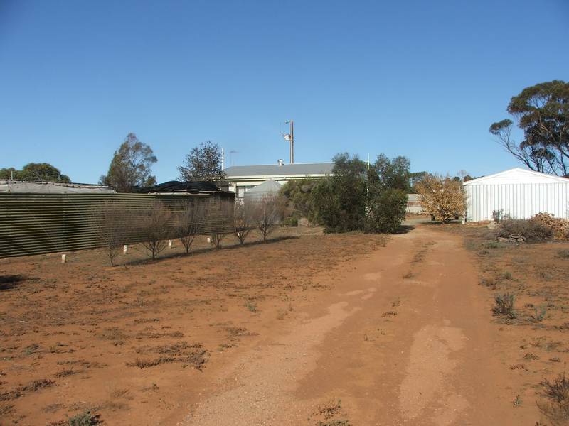 Country Setting - 9 Acres of Land - Cosy Home Picture 2