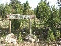 Nature Lovers Paradise - 91.95 Acres - Cheap Living! Picture