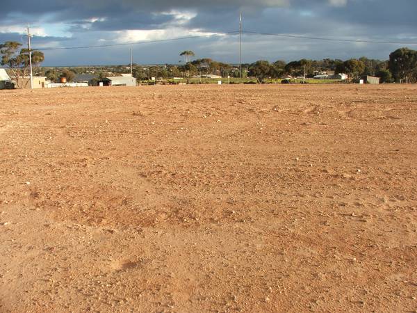 Build Amongst Modern Homes Picture 2