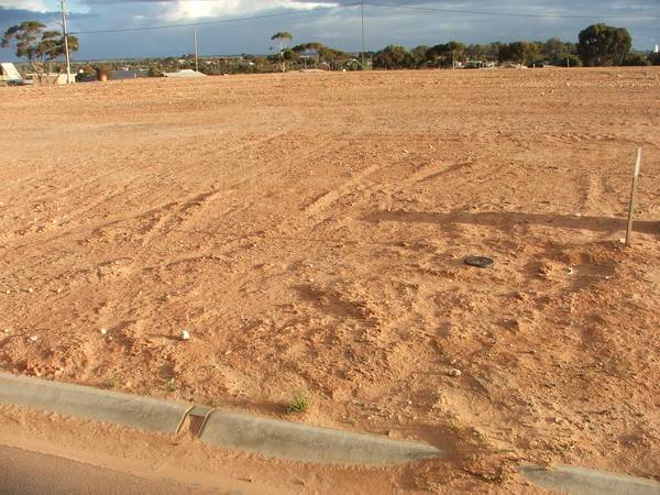 Build Amongst Modern Homes Picture 1