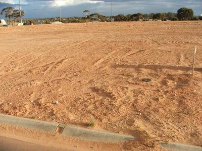 Build Amongst Modern Homes Picture