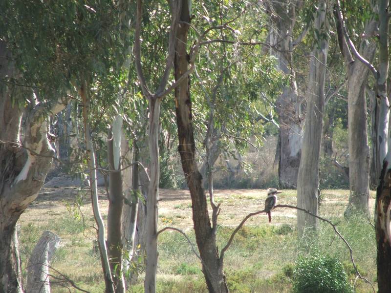 Great Holiday Shack - Direct Riverfront Access Picture 3