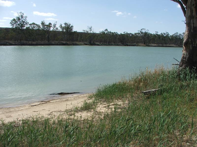 Great Holiday Shack - Direct Riverfront Access Picture 1