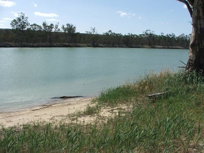 Great Holiday Shack - Direct Riverfront Access Picture