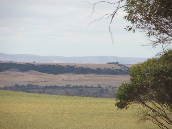 Farm, Graze or Just Have Fun!! 250 Acres at Mannum Picture