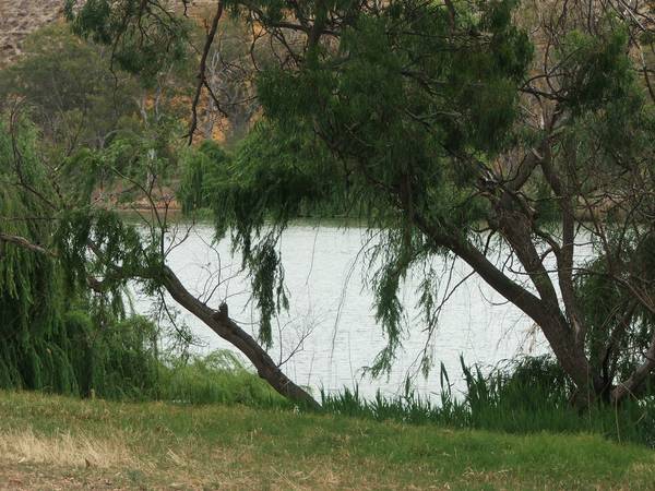 Prime Location - Good Size Riverfront Block Picture 2