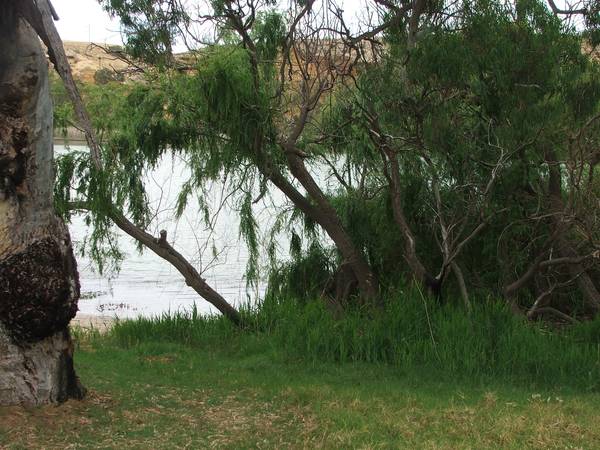 Prime Location - Good Size Riverfront Block Picture 3