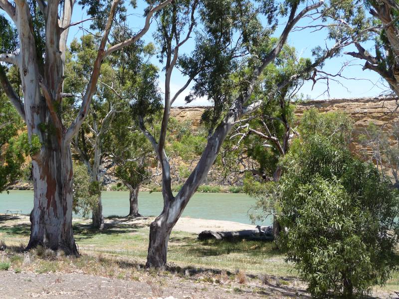 Cheap Riverfront Shack Picture 1