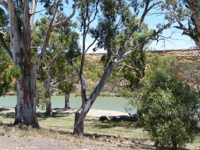 Cheap Riverfront Shack Picture