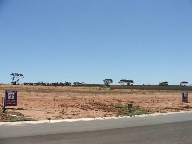 Building Allotment
'Paddlesteamer Estate' Stage 2 Picture 2