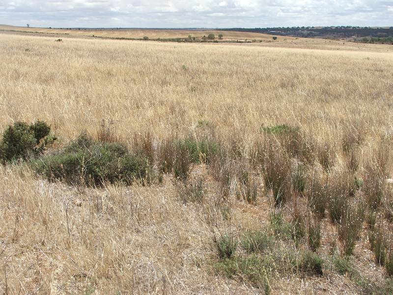 RURAL WEEKENDER ESCAPE BLOCKS - 14.4 ACRES Picture 3