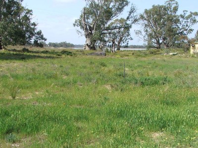 Build Your River Shack! Picture