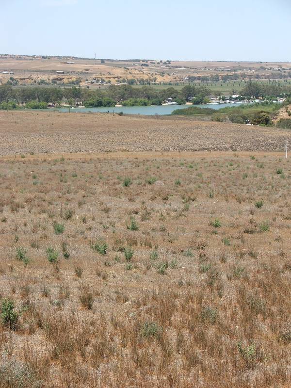 2 1/2 Acres With River Scenery Picture 2