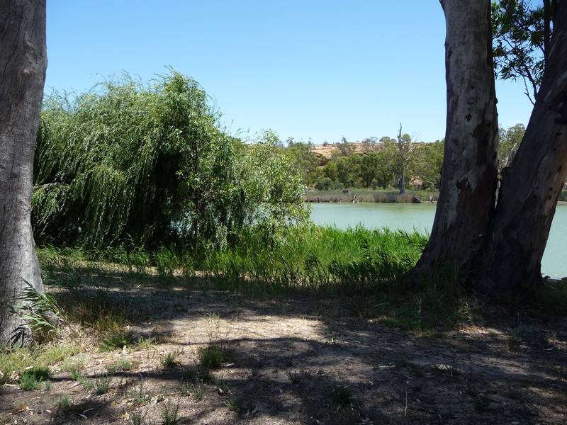 RIVER SHACK BLOCK Picture 2