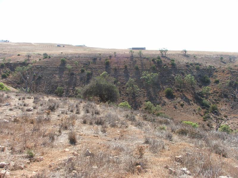 22 Acres- Gorgeous Land & Views - Build a New Home Picture 2