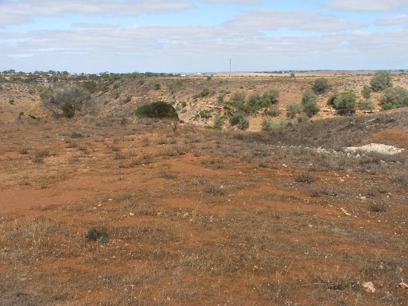 22 Acres- Gorgeous Land & Views - Build a New Home Picture 3