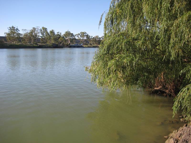 Riverfront Splendor on 56 Acres Picture 3