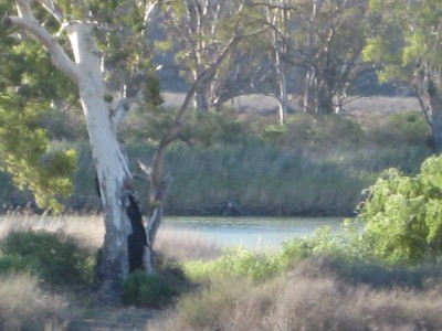 Riverfront Splendor on 56 Acres Picture