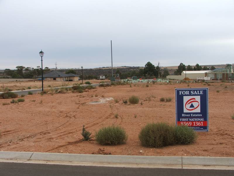 You've Dreamt It - Now Build It ! Picture 1