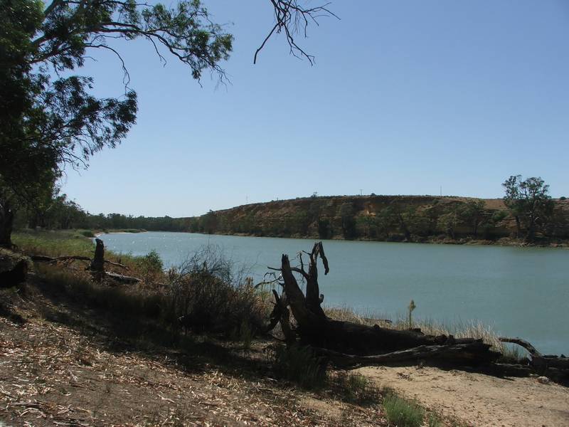 RIVERSIDE RURAL RETREAT Picture 2