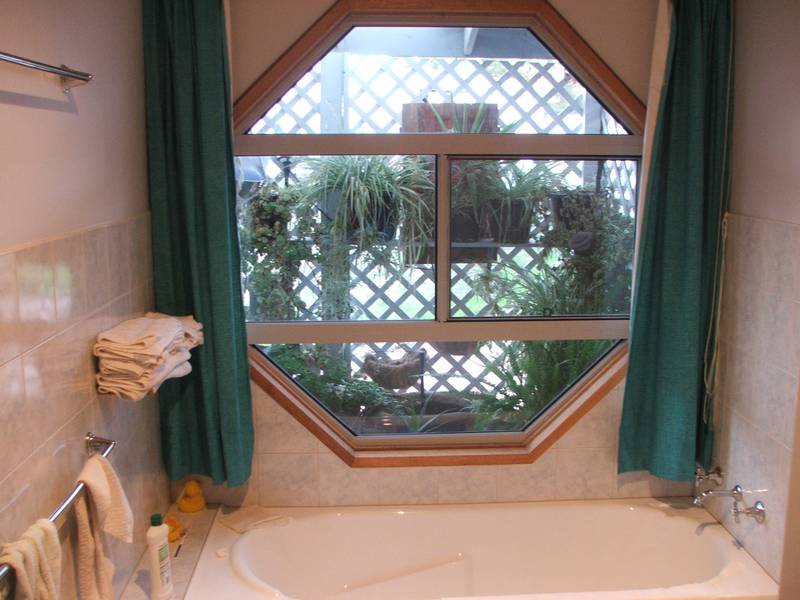 IF YOU'RE RENTING.... YOU SHOULDN'T BE! Picture 3