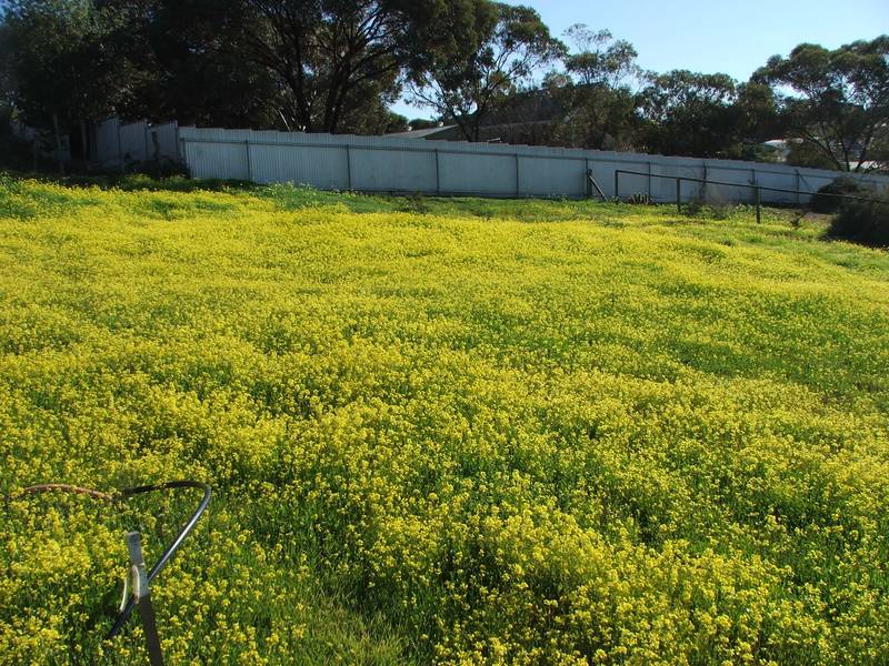 GREAT POSITION - VACANT BUILDING BLOCK - BUILD ELEVATED WITH VIEWS Picture 2