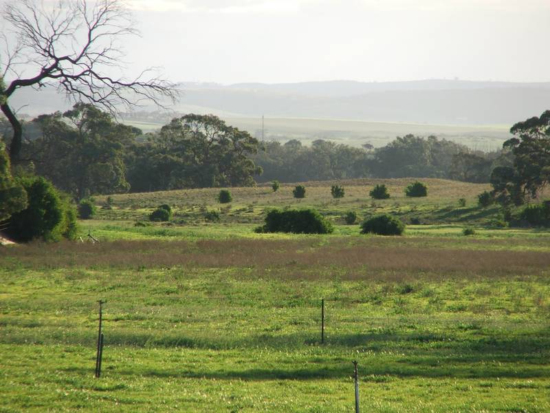Country Bungalow On 31 Acres - Sheds Galore! Picture 2