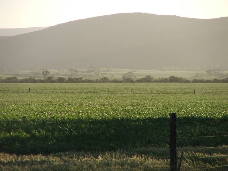 Farm, Graze or Purely Lifestyle! Picture 1