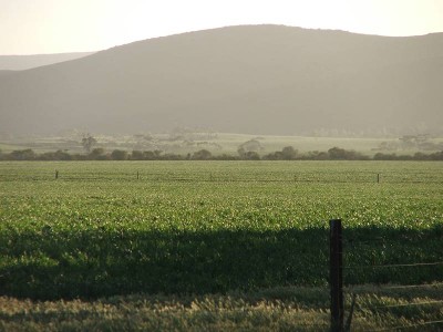 Farm, Graze or Purely Lifestyle! Picture Farm, Graze or Purely Lifestyle! Picture