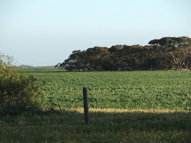 Farm, Graze or Purely Lifestyle! Picture 2