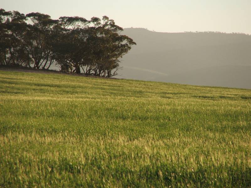 Strong Farming & Grazing Country Picture 2