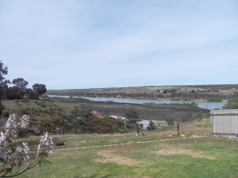 Peacful River Views Picture 1