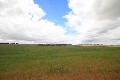 Time For A Country Change - Rural Lifestyle - 426 Acres Picture