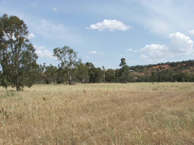 100 ACRES RIVERFRONT LAND Picture 3