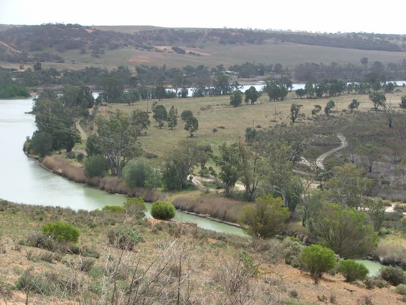 100 ACRES RIVERFRONT LAND Picture 1