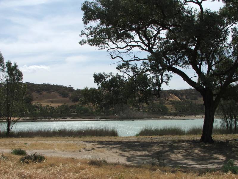 100 ACRES RIVERFRONT LAND Picture 2