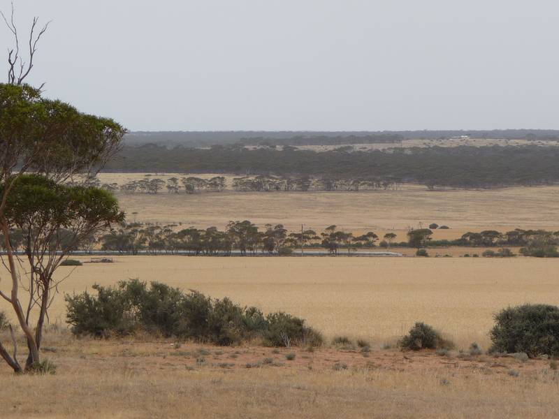 "IT'S A GRAND VIEW" - 118HA Picture 2