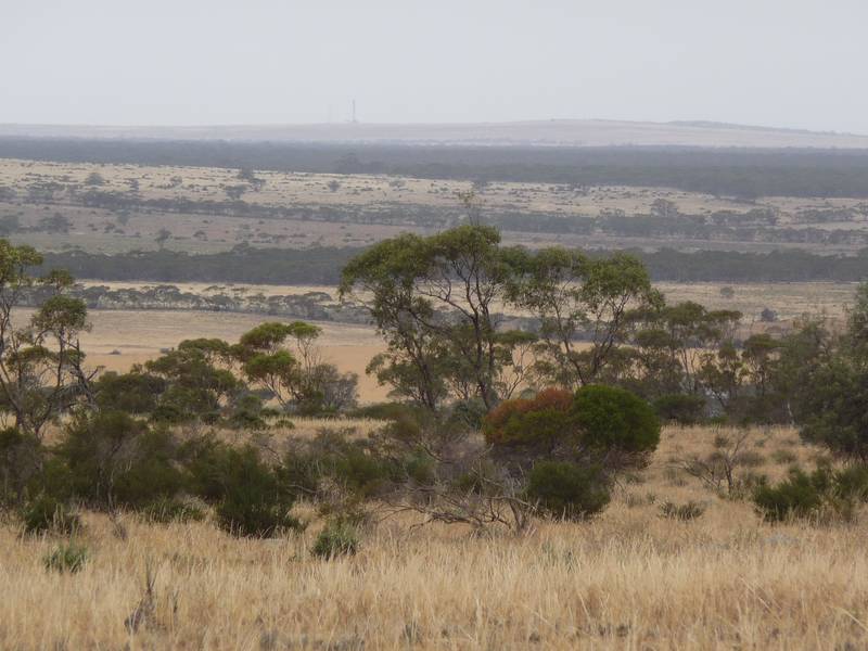 "IT'S A GRAND VIEW" - 118HA Picture 3