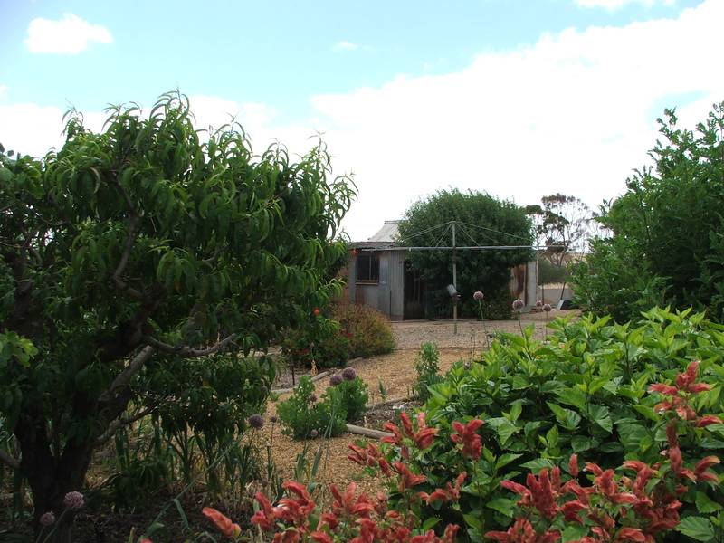 BRICKS & MORTAR -
GOOD VALUE FOR MONEY Picture 3