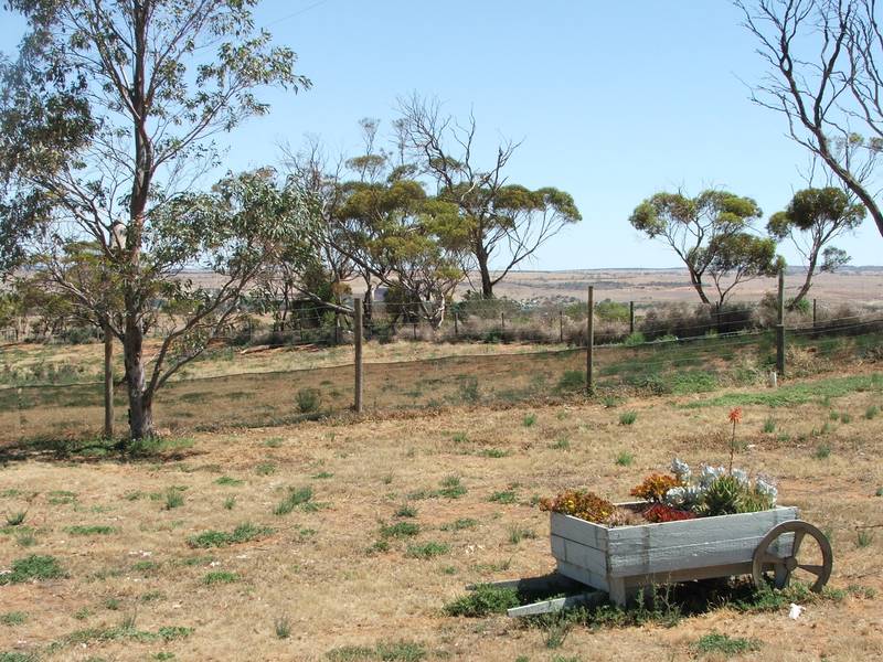 PUT YOURSELF IN THIS PERFECT PICTURE - 22 ACRES, LIVE THE GOOD LIFE Picture 3