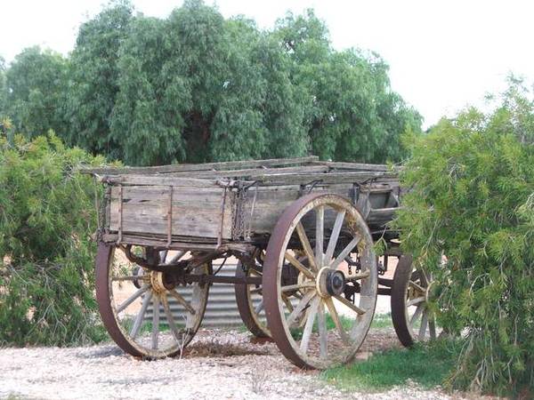 Exceptional Farming & Grazing Property 4,864 Acres (1,969Ha) - 15 Freehold Sections - 2 Homes Picture 3