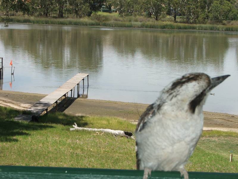 Holiday Shack, Peaceful Setting Picture 2