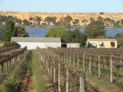 Punyelroo Vineyard - 63.64 Hectares (157 Acres) Picture