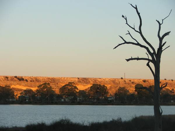 Punyelroo Vineyard - 63.64 Hectares (157 Acres) Picture 2