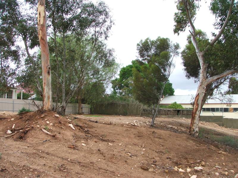 BUILD YOUR DREAM HOME IN THIS PEACEFUL ESTABLISHED STREET Picture 2