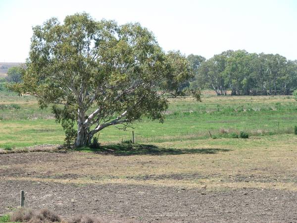 Great River Retreat Block Picture 2