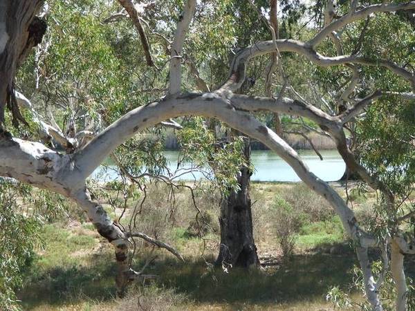 Simple Old Shack - Top Location! Picture 3